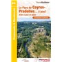 Le pays de Cayres-Pradelles à pied