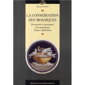 CONSERVATION DES MOSAIQUES