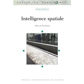 Intelligence spatiale