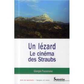 Un lézard