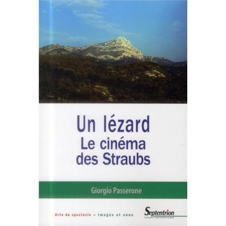 Un lézard