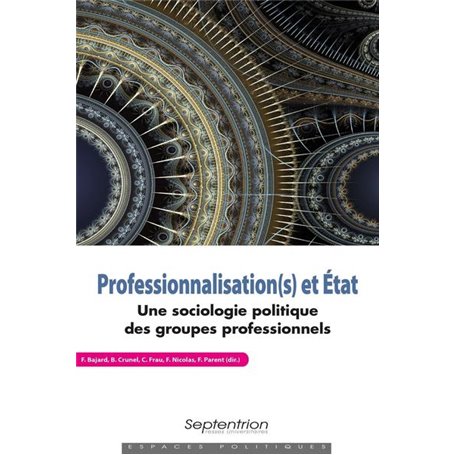 Professionnalisation(s) et État