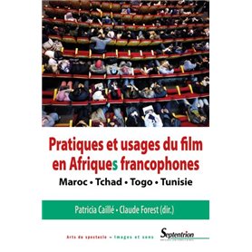 Pratiques et usages du film en Afriques francophones