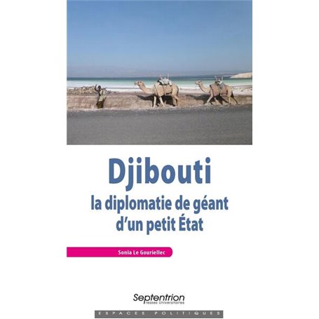 Djibouti. La diplomatie de géant d'un petit État