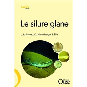 Le silure glane