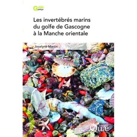 Les invertébrés marins du golfe de Gascogne à la Manche orientale