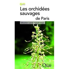 Les orchidées sauvages de paris