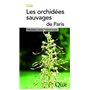 Les orchidées sauvages de paris