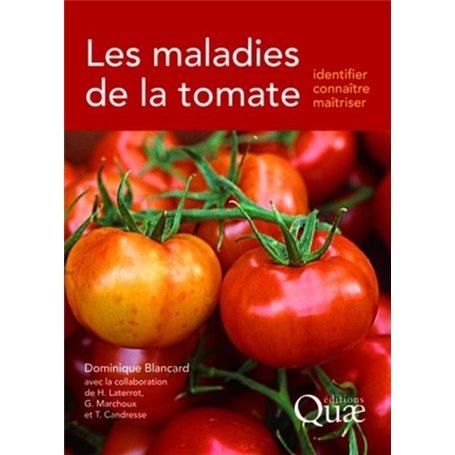 Les maladies de la tomate