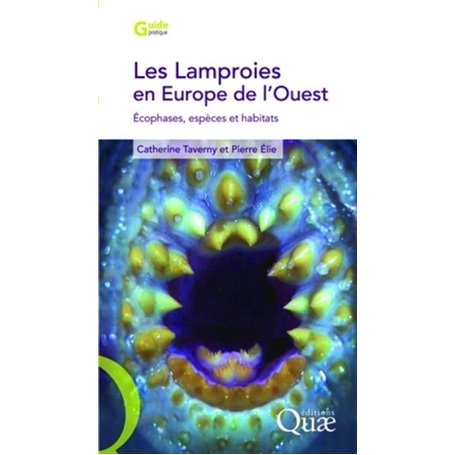 Les lamproies en europe de l'ouest