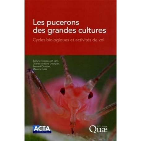 Les pucerons des grandes cultures