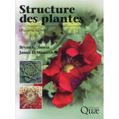 Structure des plantes