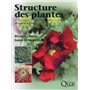 Structure des plantes