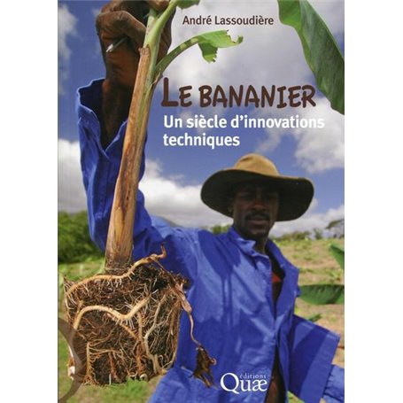 Le bananier : un siècle d'innovations techniques