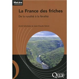 La France des friches