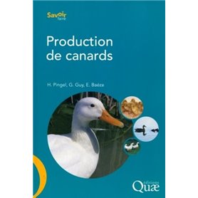 Production de canards