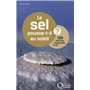 Le sel pousse-t-il au soleil ?