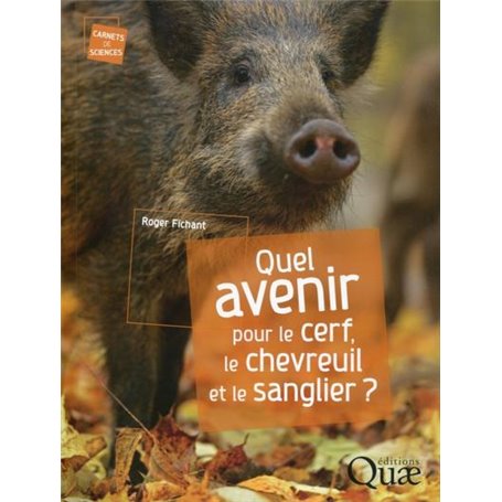 Quel avenir pour le cerf, le chevreuil et le sanglier ?