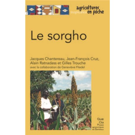 Le sorgho