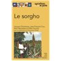 Le sorgho