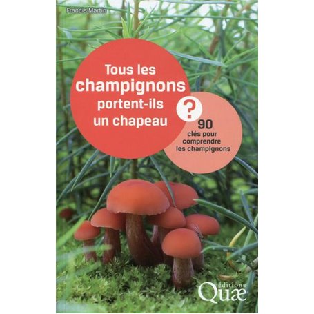 Tous les champignons portent-ils un chapeau ?