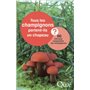 Tous les champignons portent-ils un chapeau ?