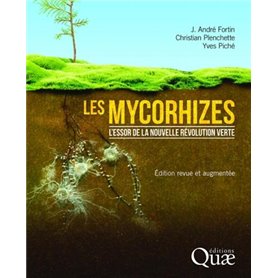 Les mycorhizes