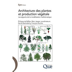 Architecture des plantes et production végétale