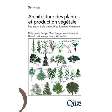 Architecture des plantes et production végétale