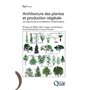 Architecture des plantes et production végétale