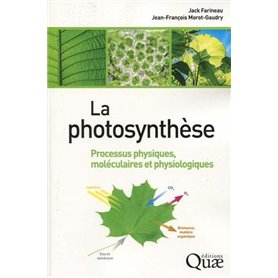 La photosynthèse