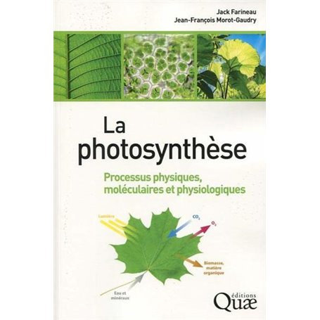 La photosynthèse