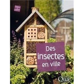 Des insectes en ville