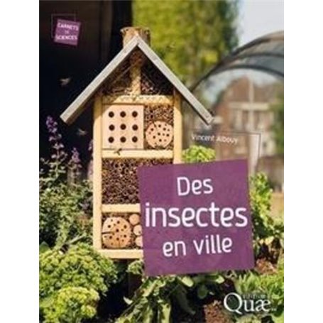 Des insectes en ville