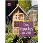 Des insectes en ville