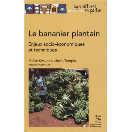 Le bananier plantain