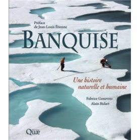 Banquise