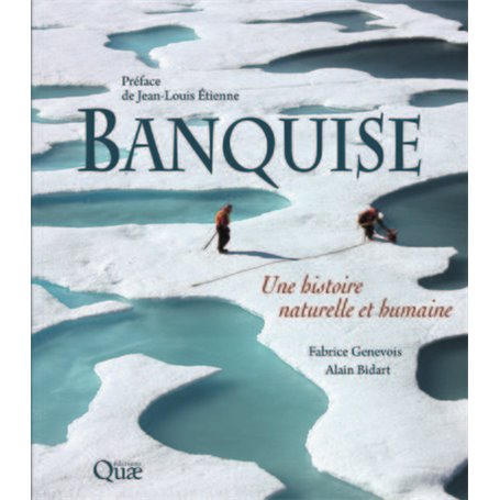 Banquise