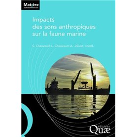 Impact des sons anthropiques sur la faune marine