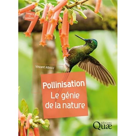 Pollinisation