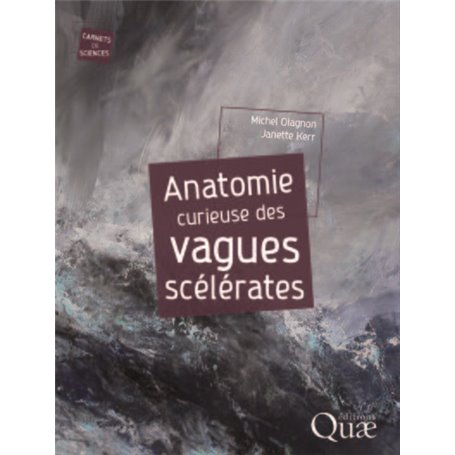 Anatomie curieuse des vagues scélérates