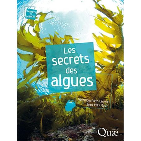 Les secrets des algues