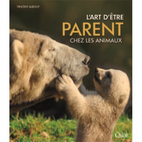 L'art d'être parent chez les animaux