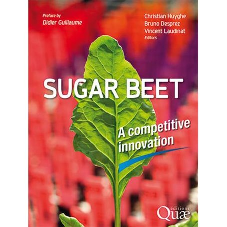 Sugar beet