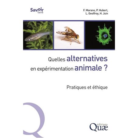 Quelles alternatives en expérimentation animale ?