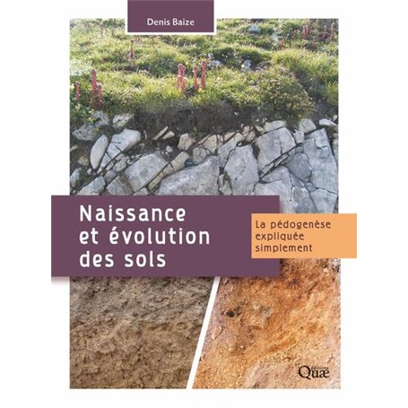 Naissance et évolution des sols