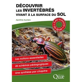 Découvrir les invertébrés vivant à la surface du sol