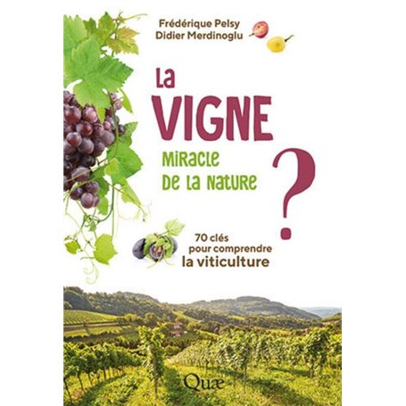 La vigne, miracle de la nature ?