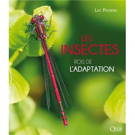 Les insectes