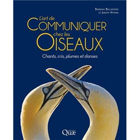 L'art de communiquer chez les oiseaux